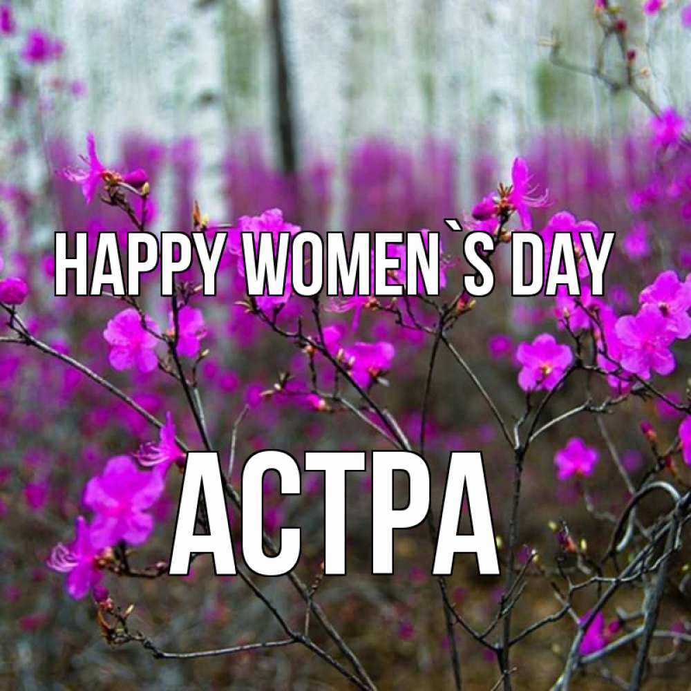 Greetings card с именем, Астра happy women`s day дикие цветы Greetings with text for free download 